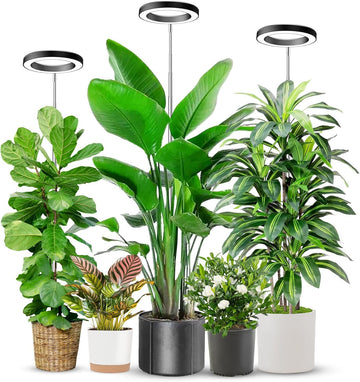LED Grow Lights For Indoor Plants Halo Ring Full Spectrum Growing Lamp Veg